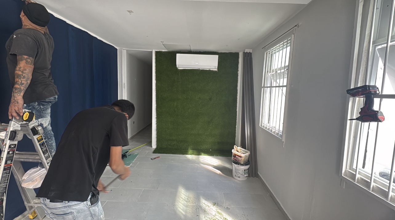 Remodelación de interior con grama decorativa